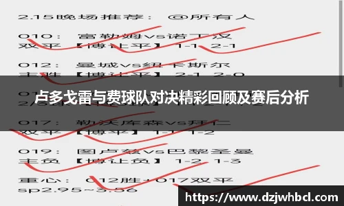卢多戈雷与费球队对决精彩回顾及赛后分析
